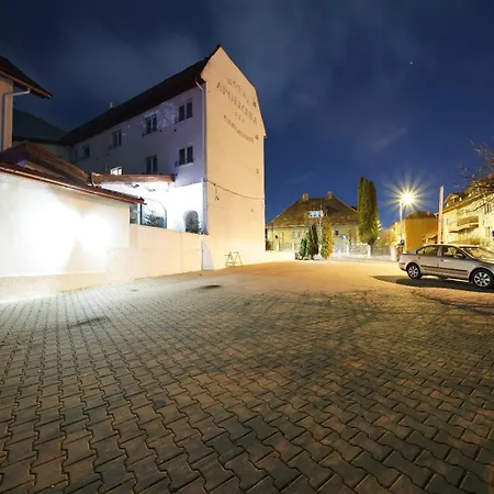 Apollonia Brasov