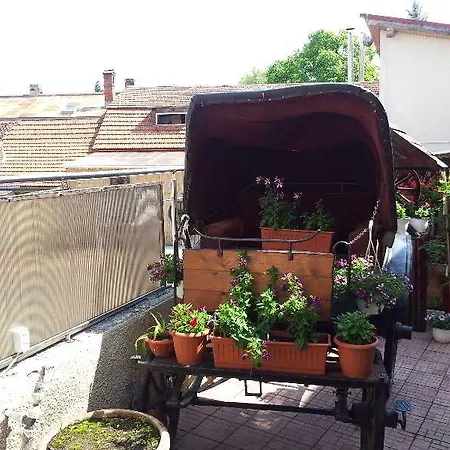 Hotel Apollonia Brasov